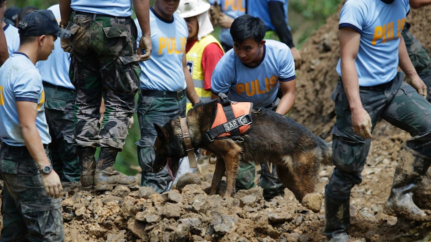 A Filipino rescuer kneels behind a search dog as it looks for victims beneath the rubble.