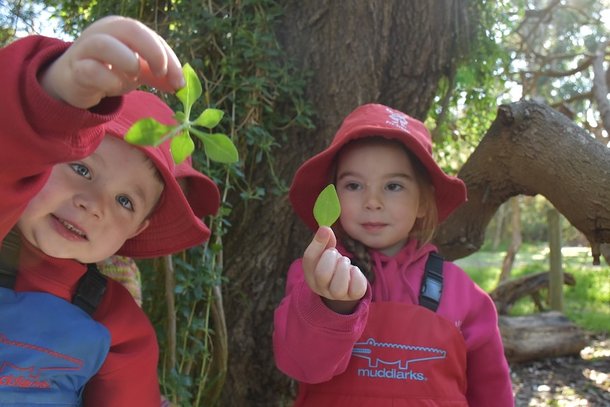 Two children hold up green Bower spinach variety leaves in a park.