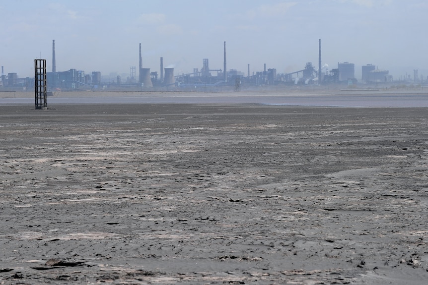 A black sludgy expanse surrounds an industrial city.