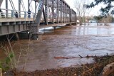 Water levels were rising under the Dunolly Bridge at Singleton.