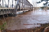 Water levels were also rising under the Dunolly Bridge at Singleton.