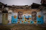 A painting of sunflowers and stalks on a heavily damaged brick building.