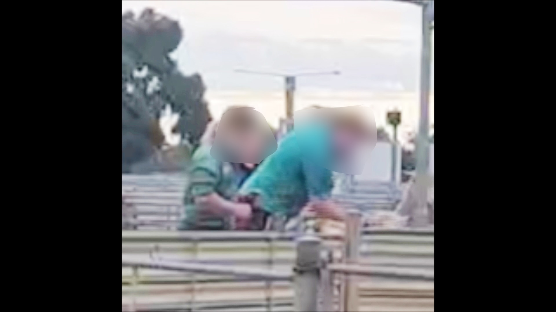 Some of the vision shows a man at the Bendigo Livestock Exchange punching a sheep.