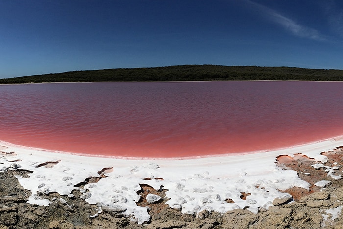 lake hillier facts