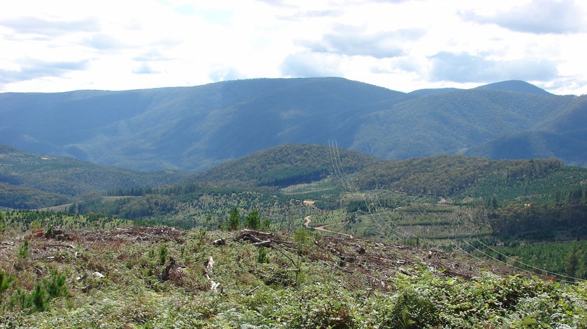 The landscape between Wayne West's Wyora Station and the Brindabella National Park still bears the scars from the 2003 fires.