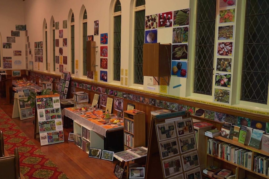 A church with photographs of plants stuck all over the walls and displayed on tables.