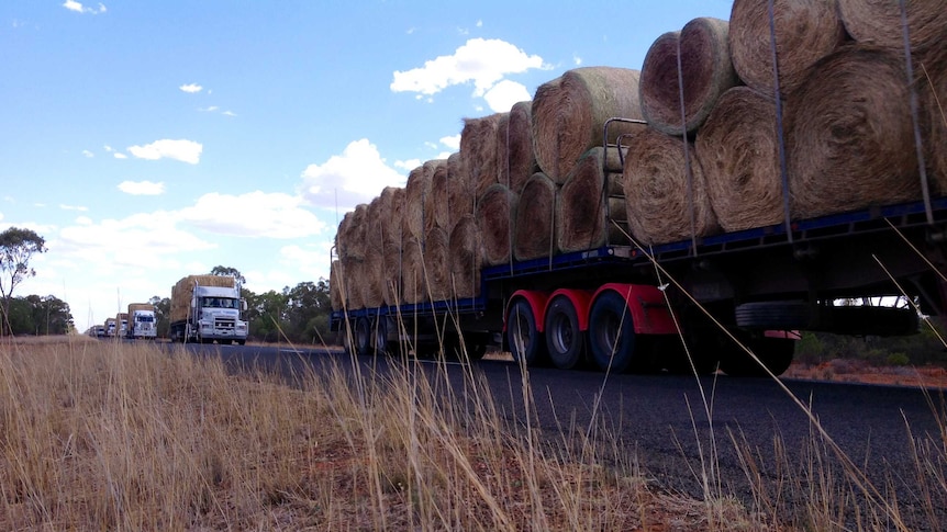 Hay convoy in NSW