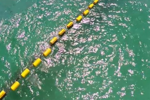 Yellow floats on the ocean's surface that are attached to an eco shark barrier below the water