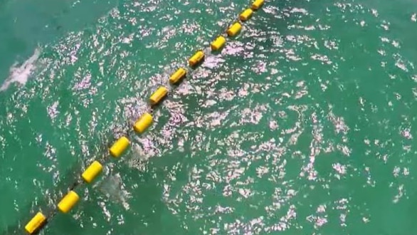 Yellow floats on the ocean's surface that are attached to an eco shark barrier below the water