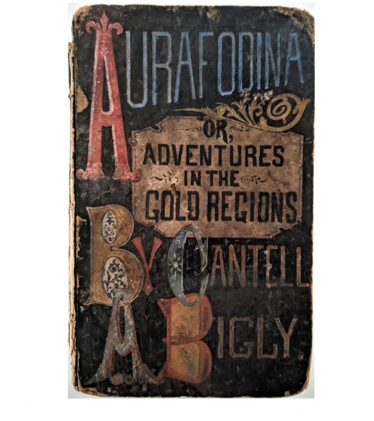 James Ebenezer Bicheno's bequest of 1,900 books in 1851 doubled