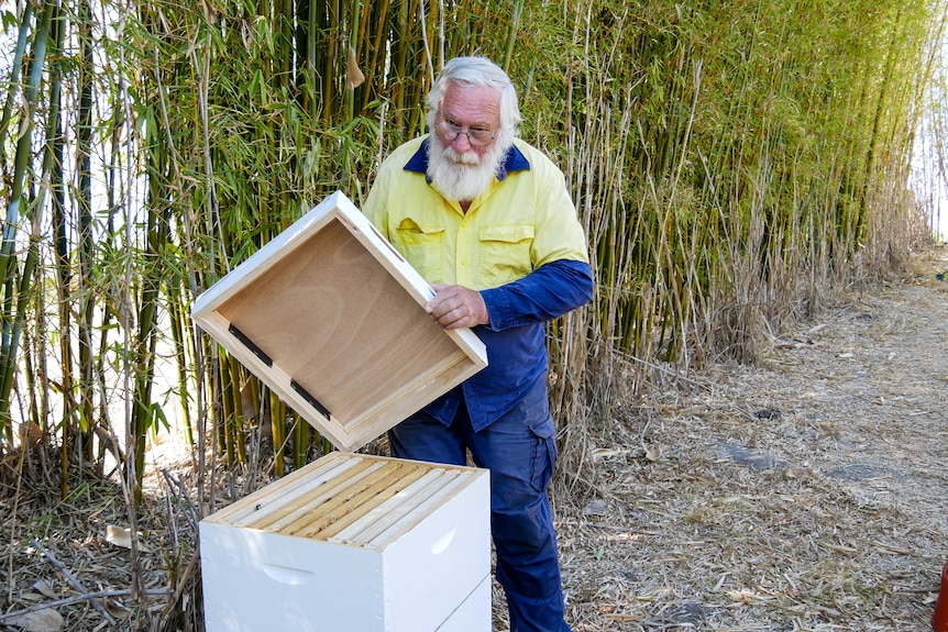 A man wearing yellow and blue shirt holds up the top of a bee hive.