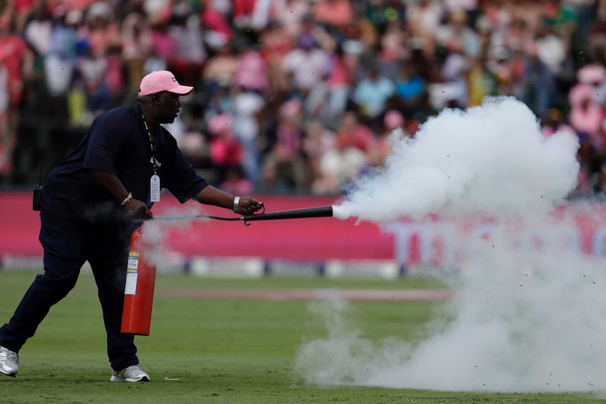 Groundsman tries to get rid of bees at the Wanderers