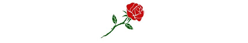 An illustration of a red rose done in stencil