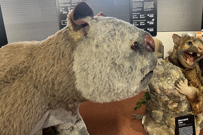 Stuffed ancient megafauna in an information centre.