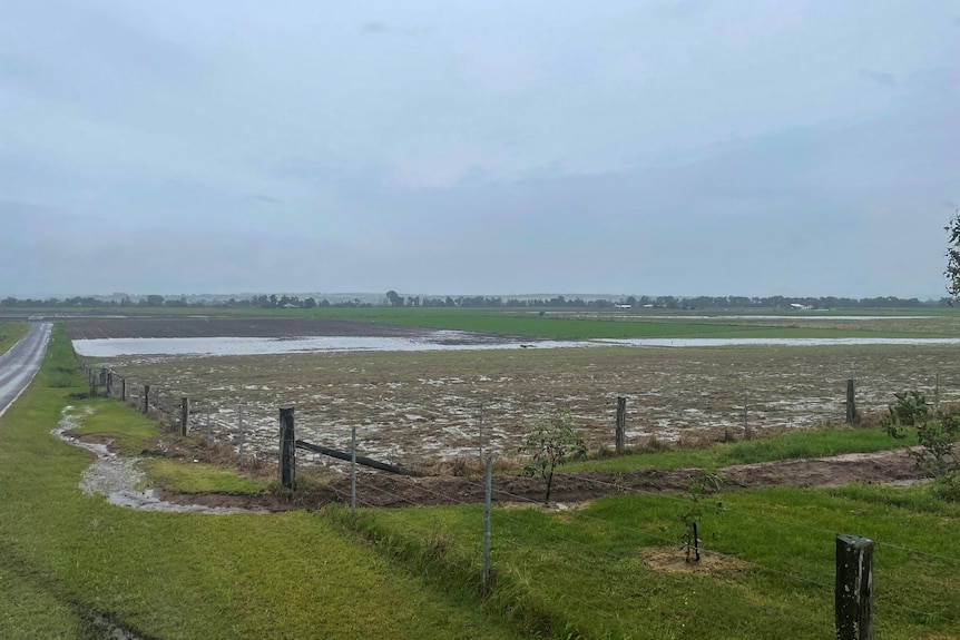 A paddock soaked with rain.