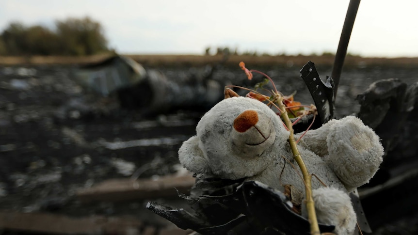 A teddy bear in foreground, covered in dirt, with blackened plane wreckage in background