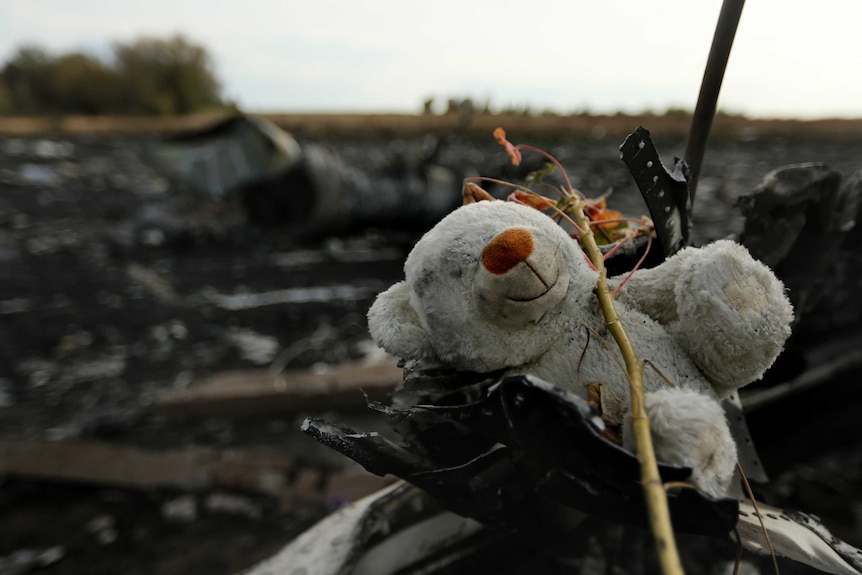 A teddy bear in foreground, covered in dirt, with blackened plane wreckage in background