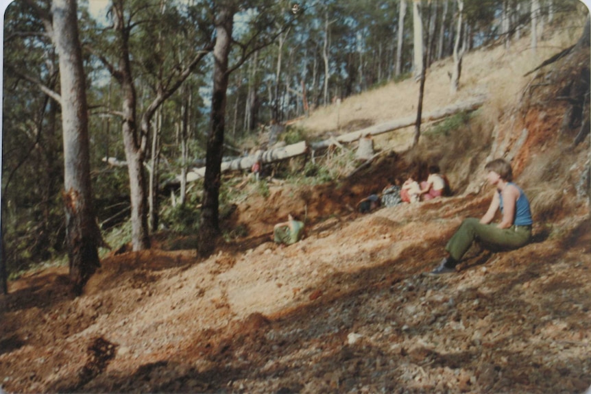 Wide colour archive shot of numerous women scattered across the top of a clearing bulldozed in the bush.