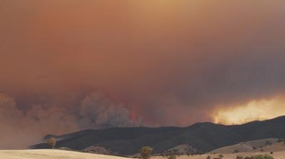 Victoria ... a total fire ban is in place today. (File photo)