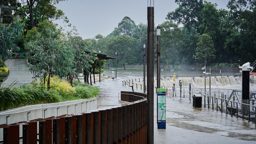 Parramatta River flooding
