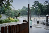 Parramatta River flooding