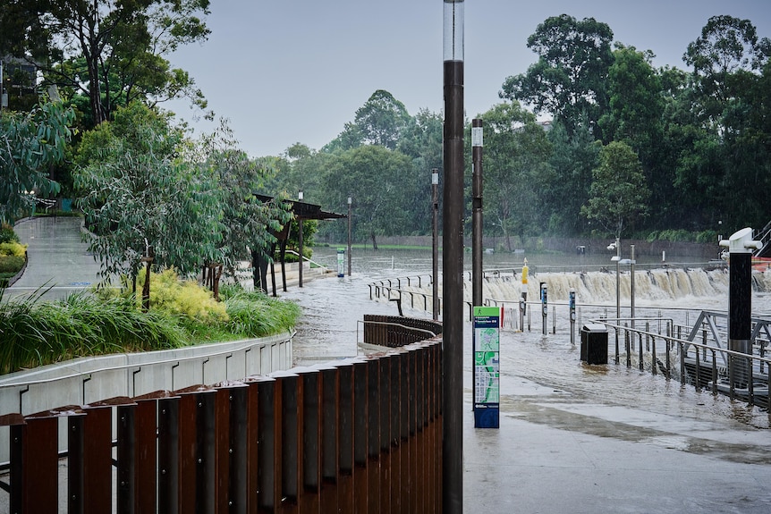 Parramatta River flooding