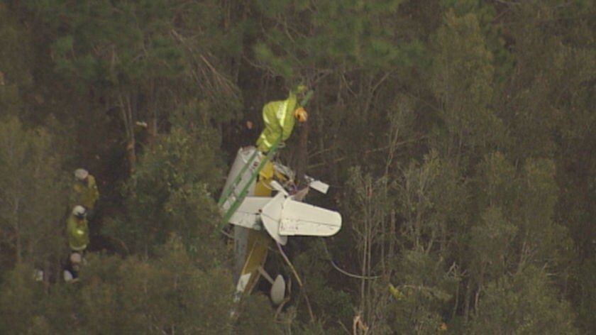 A 73-year-old man walked away uninjured when his light plane crashed into trees.