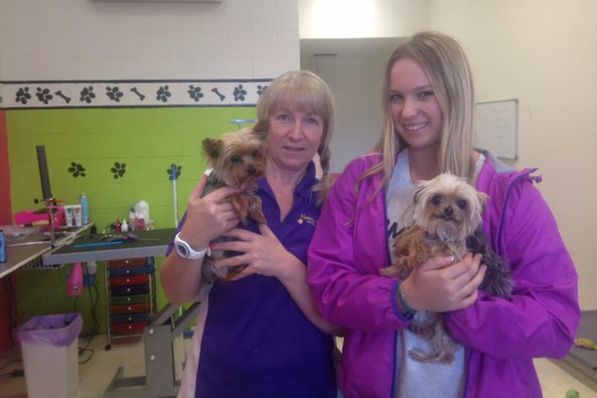 Boo and Pistol at Happy Dogz groomers