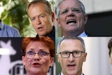 A four-way composite image of four politicians speaking at various press conferences.