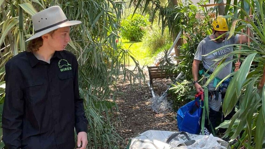 Sam Johnson spends his spare time volunteering for a wildlife rescue organisation in NSW.