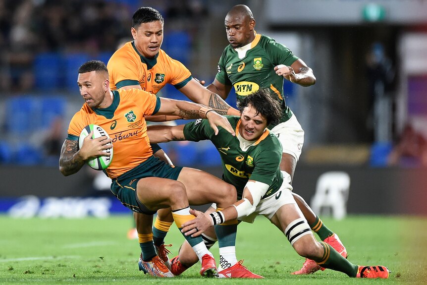 A Wallabies player holds the ball as he is tackled by a Springboks opponent.
