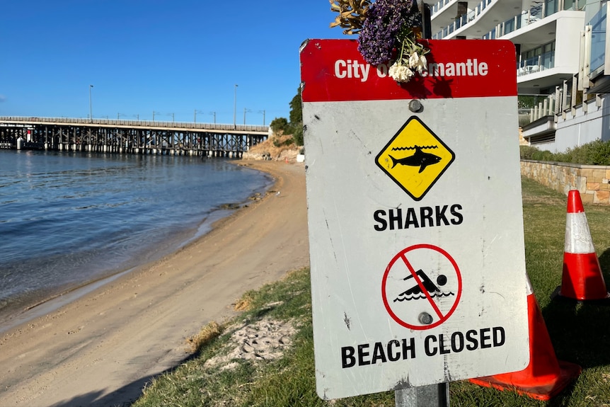 A river bank with a sign saying 'sharks beach closed'.