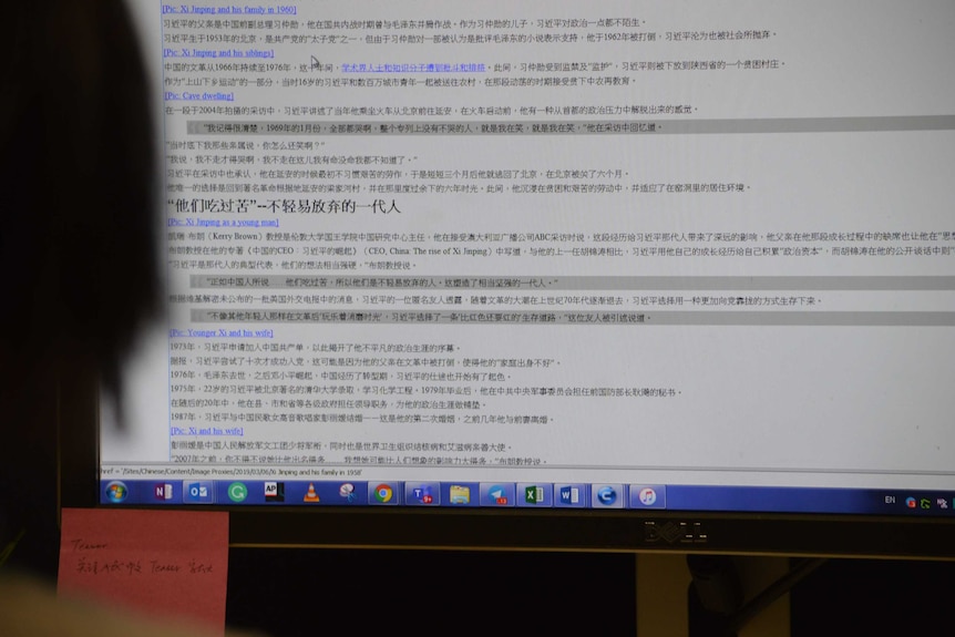 Shot of computer screen with Chinese characters on it.