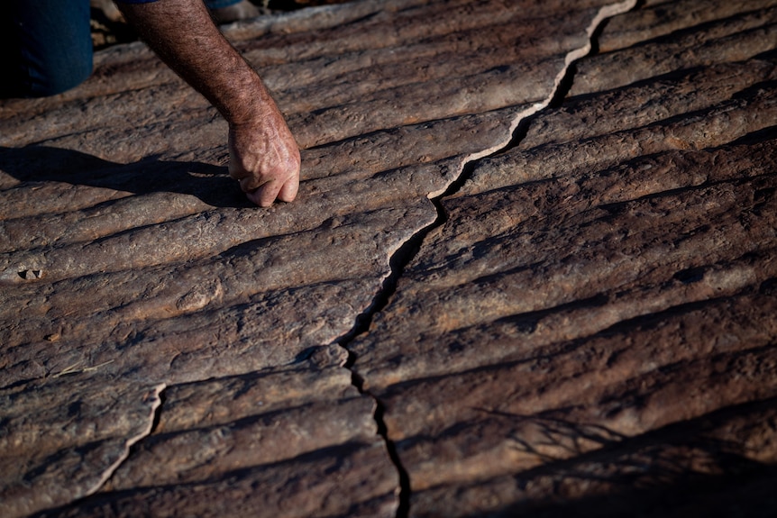 A fossil bed in the Nilpena Ediacara National Park.