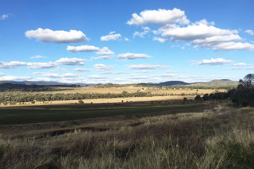 Site of AGL Energy's proposed $500 million Coopers Gap wind farm to be constructed at Cooranga North
