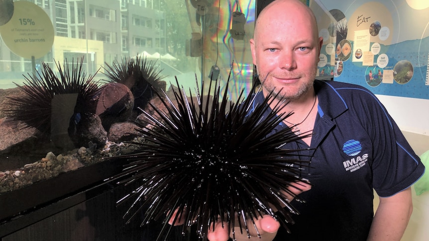 man with sea urchin