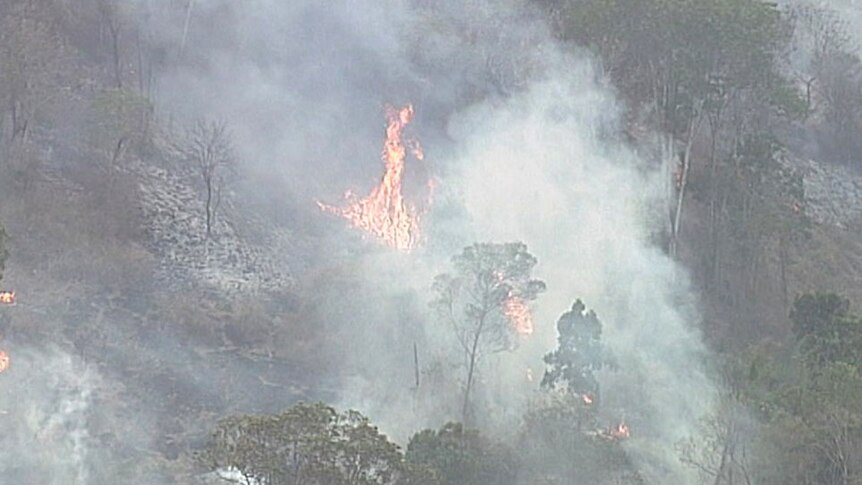 Bushfire burns in remote forest in Pechey area.