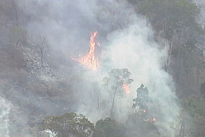 Bushfire burns in remote forest in Pechey area.