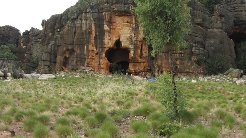 A photo of a cave in a large grey and yellow cliff with spinifex grass in foreground