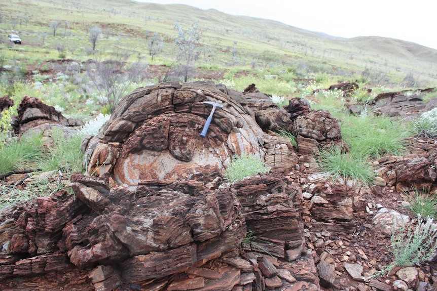 Landscape around the Fortescue Group in the Pilbara