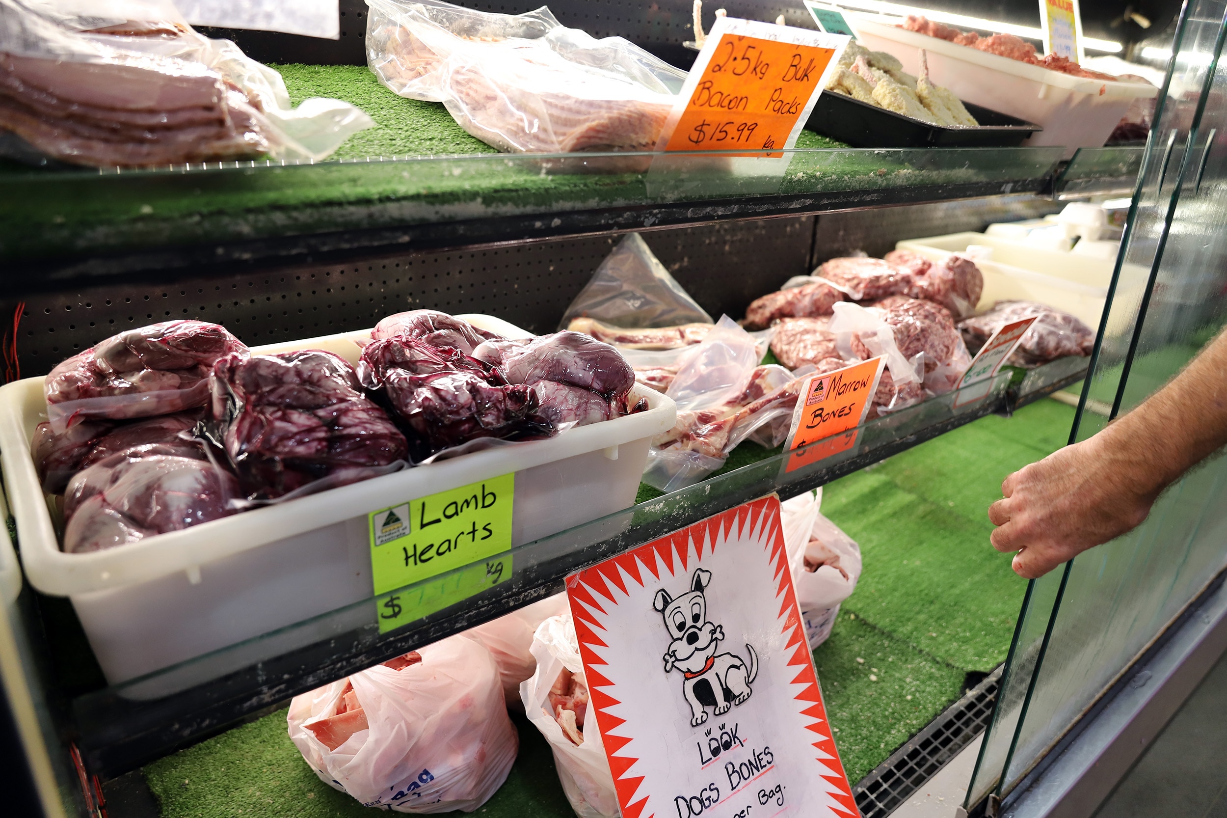 A display cabinet in a butcher shop with a tub of red flesh wrapped in plastic sign saying lamb hearts, a sign for dog bones bel