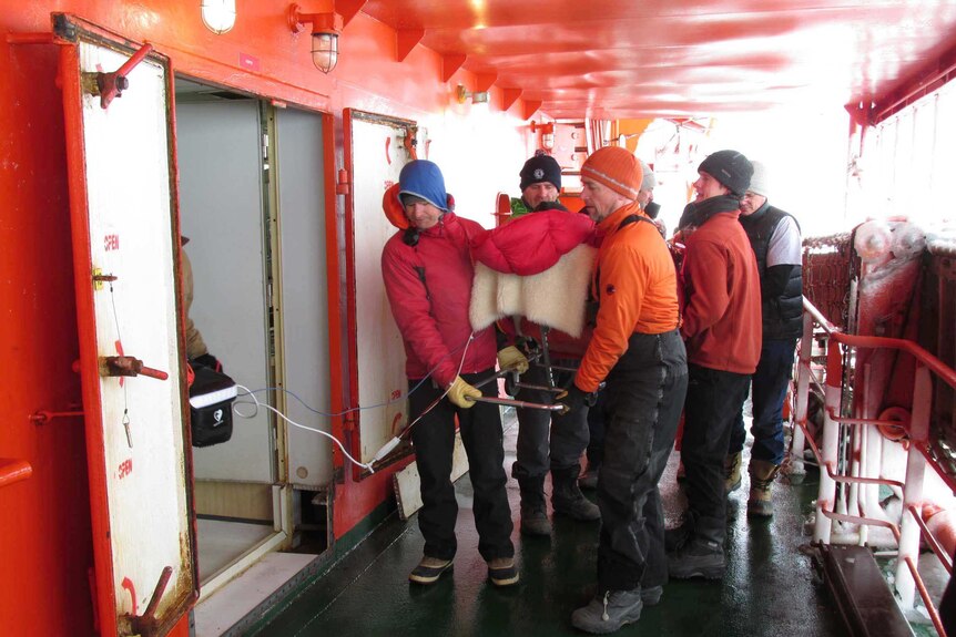 Australian Antarctic Division staff carry a sick expeditioner on a stretcher onboard Aurora Australis.