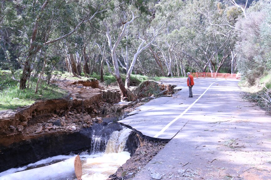 A person assesses the damage to Montacute Road.