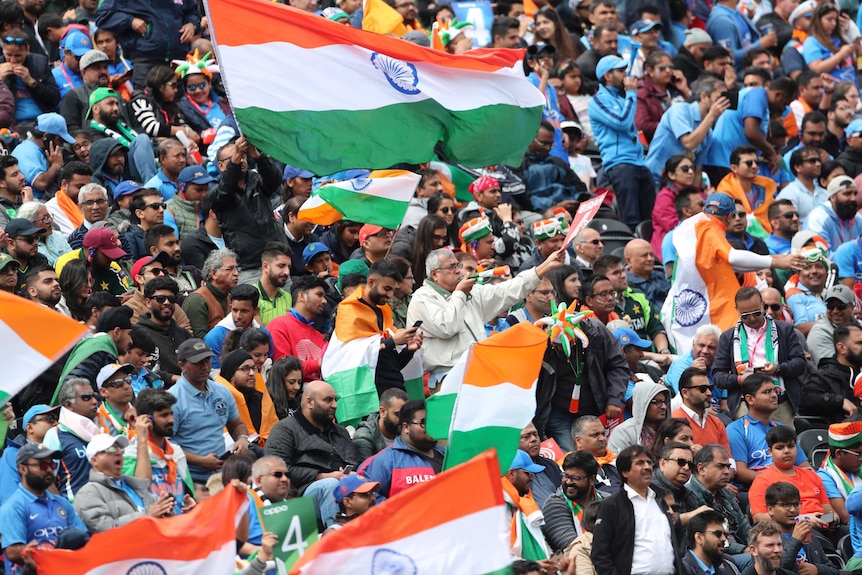 Cricket fans wave flags at the Cricket World Cup.