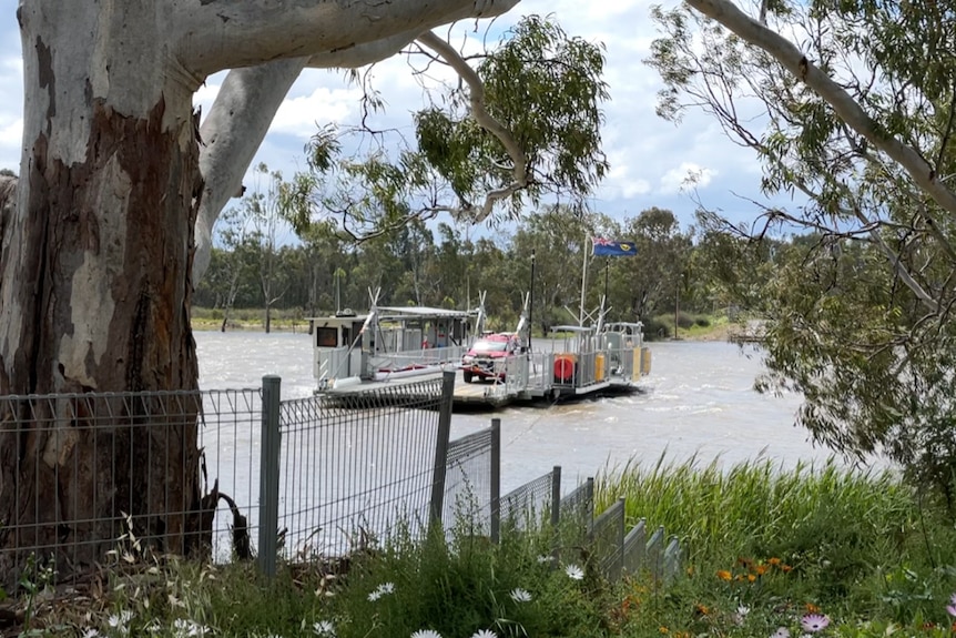 A ferry crosses the river with a car on board. There are trees either side.