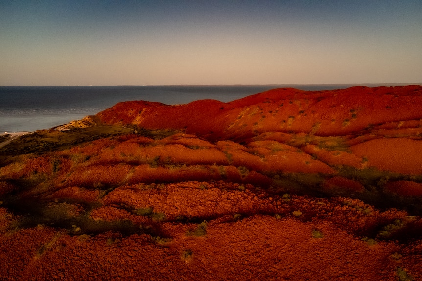 Red landscape with water in the background in Murujuga, Western Australia.