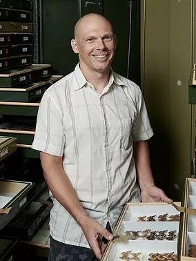 a bald man standing with a tray of butterflies in an office 