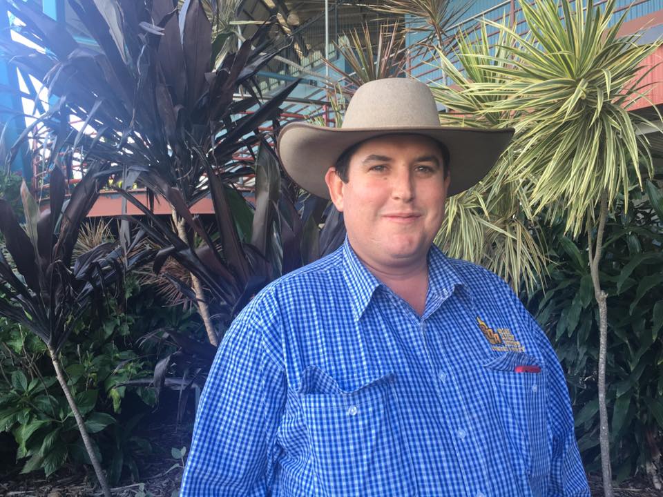 cattle-prices-highest-in-years-in-beef-capital-abc-news