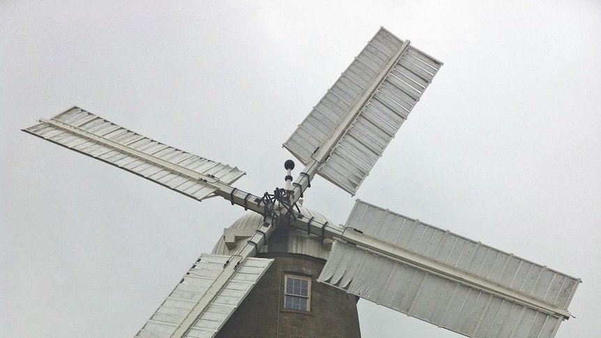 Students will be taught how to restore heritage buildings like the Callington mill.