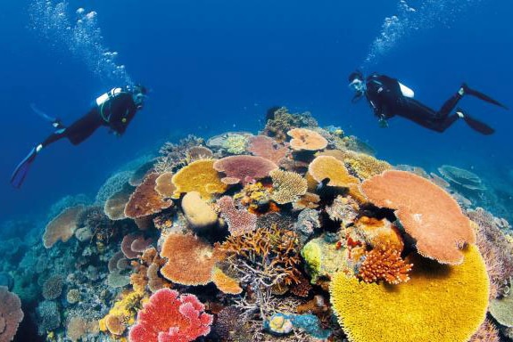 Divers at a reef in the Coral Sea off Queensland